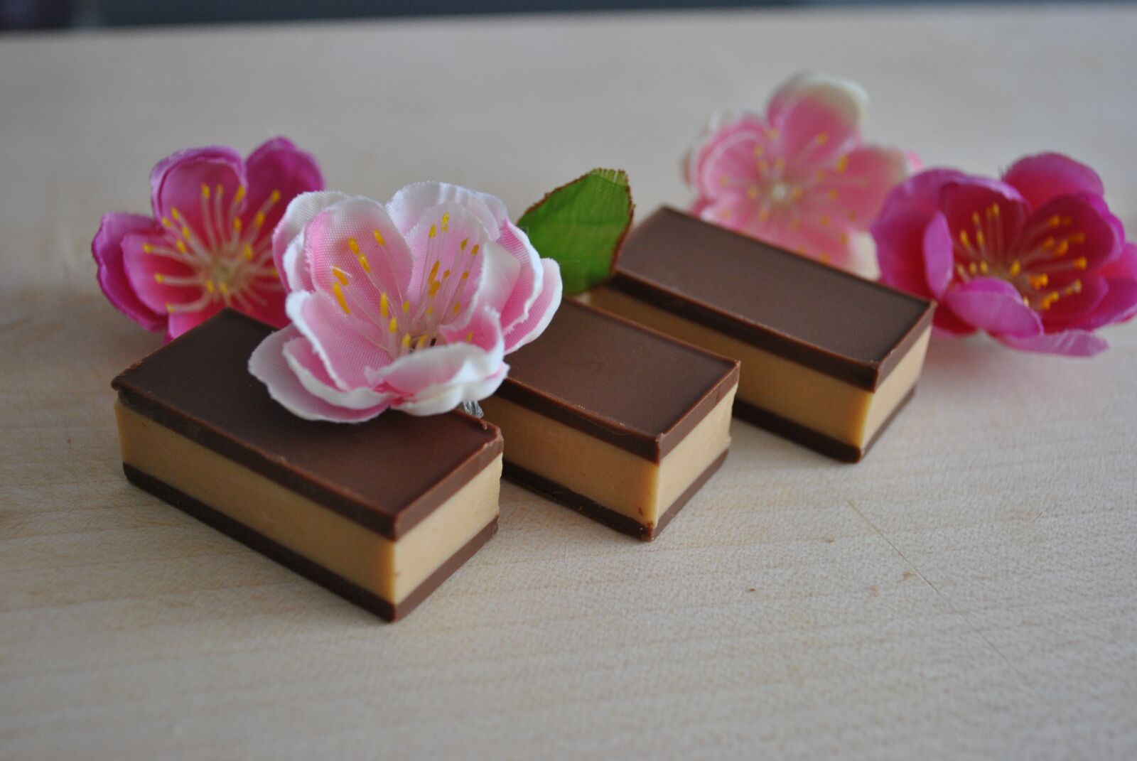 Nikon D3000 sample photo. Flower, chocolate bar, cocoa photography