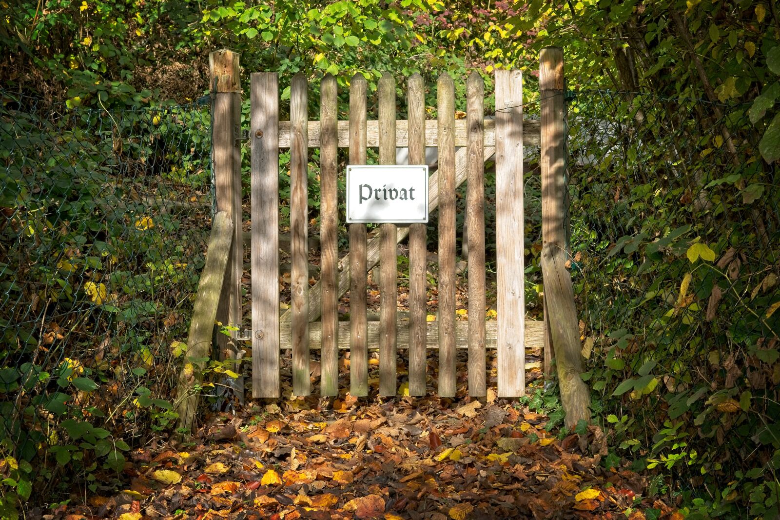 Nikon D7100 sample photo. Door, goal, wooden door photography