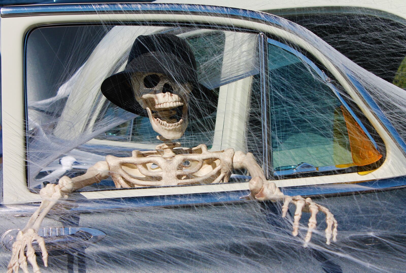 Canon EOS 1100D (EOS Rebel T3 / EOS Kiss X50) sample photo. Skeleton, decoration, halloween photography