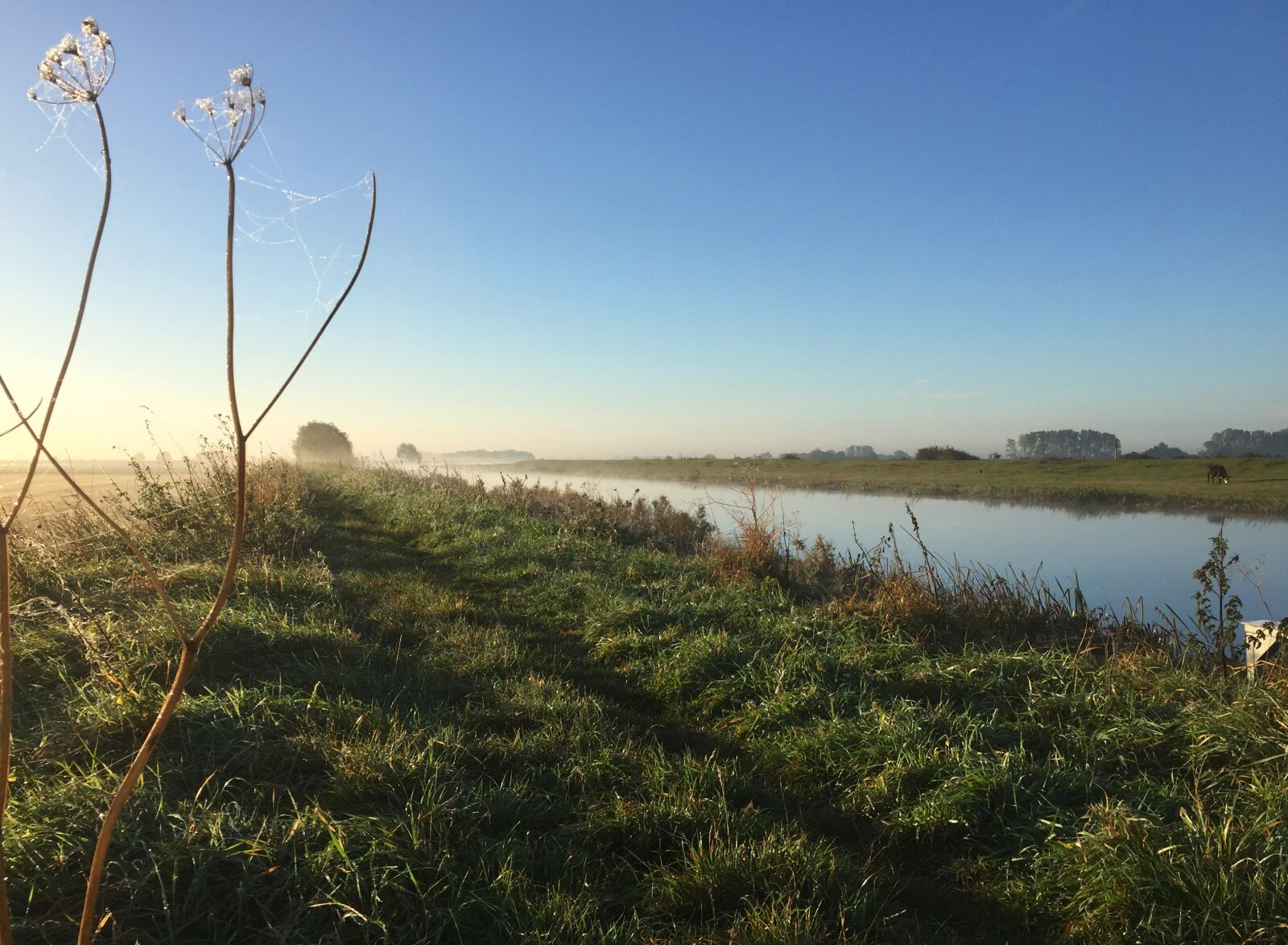iPhone 6 back camera 4.15mm f/2.2 sample photo. Riverbank, misty, path photography