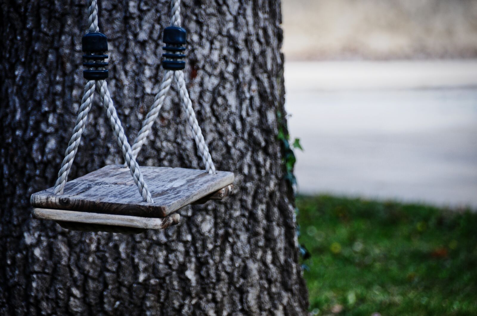 Nikon D300S sample photo. Swing, tree, garden photography