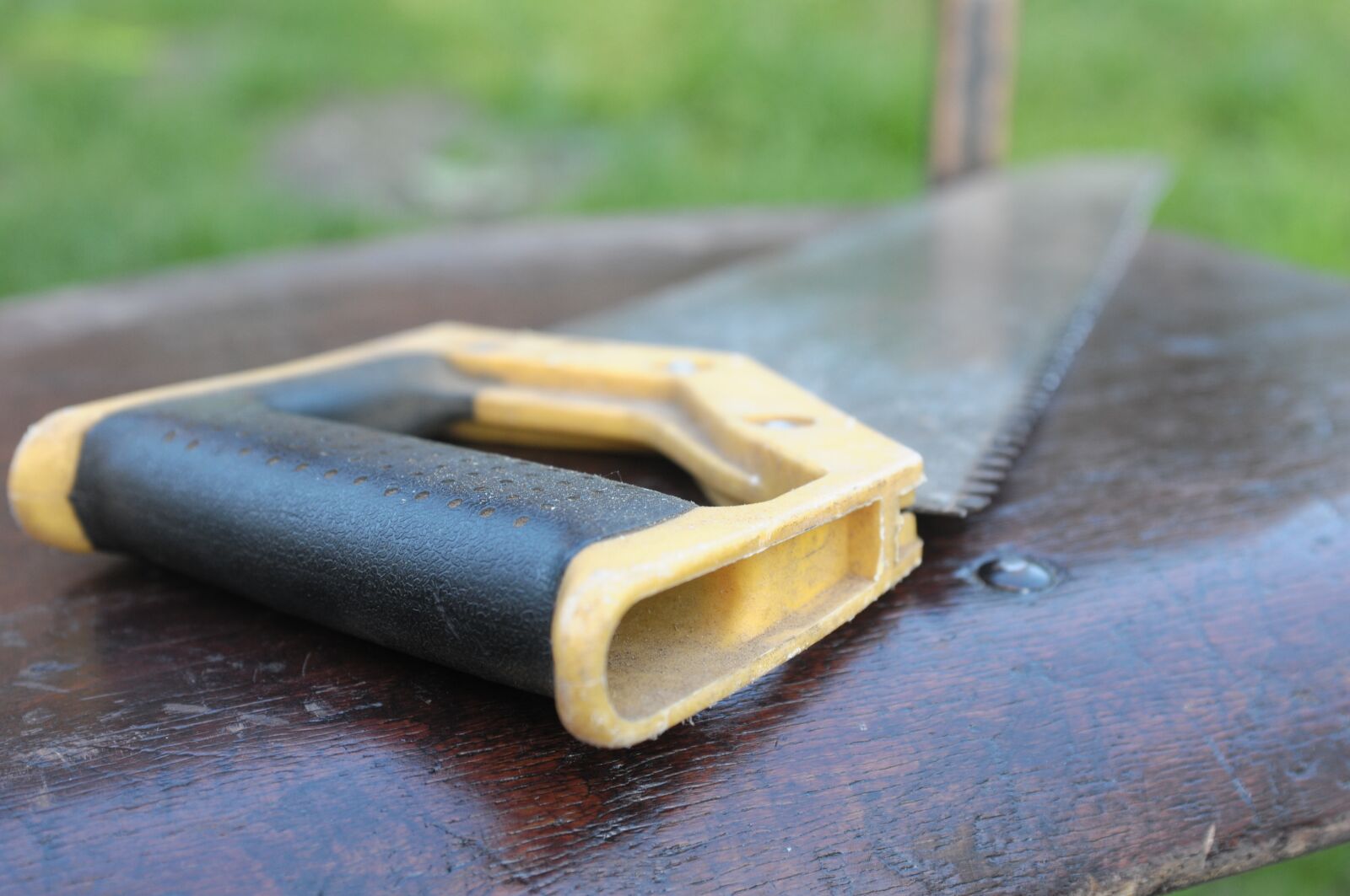 Nikon D300 sample photo. Saw, tools, work photography