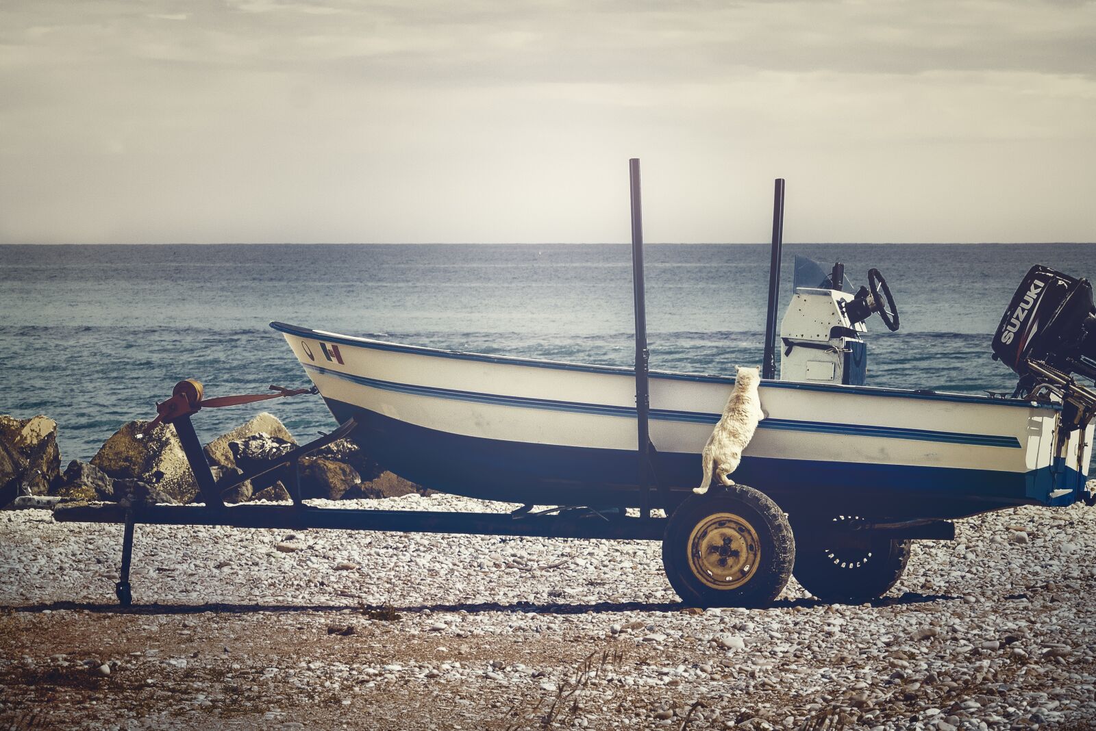 Canon EF-S 55-250mm F4-5.6 IS STM sample photo. Boat, sea, cat photography