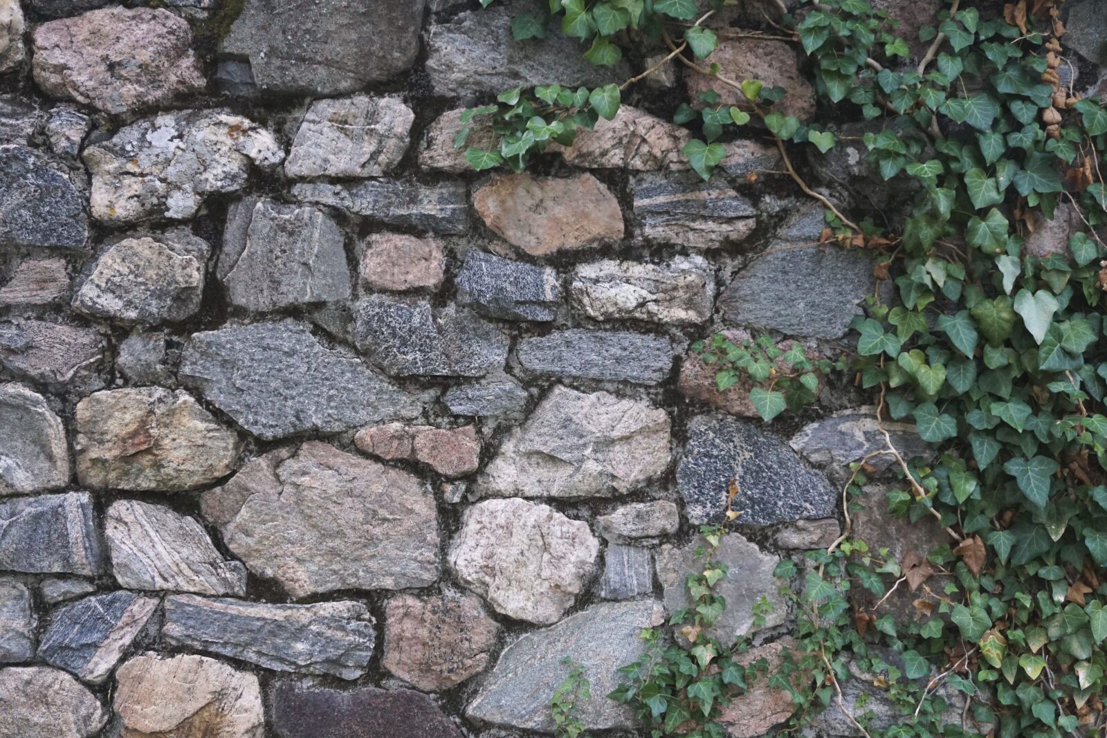 Sony a6000 + Sony E 18-50mm F4-5.6 sample photo. Stone, wall, texture, pattern photography