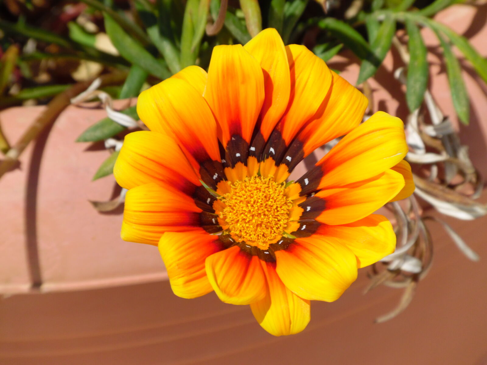 Samsung WB1100F/WB1101F/WB1102F sample photo