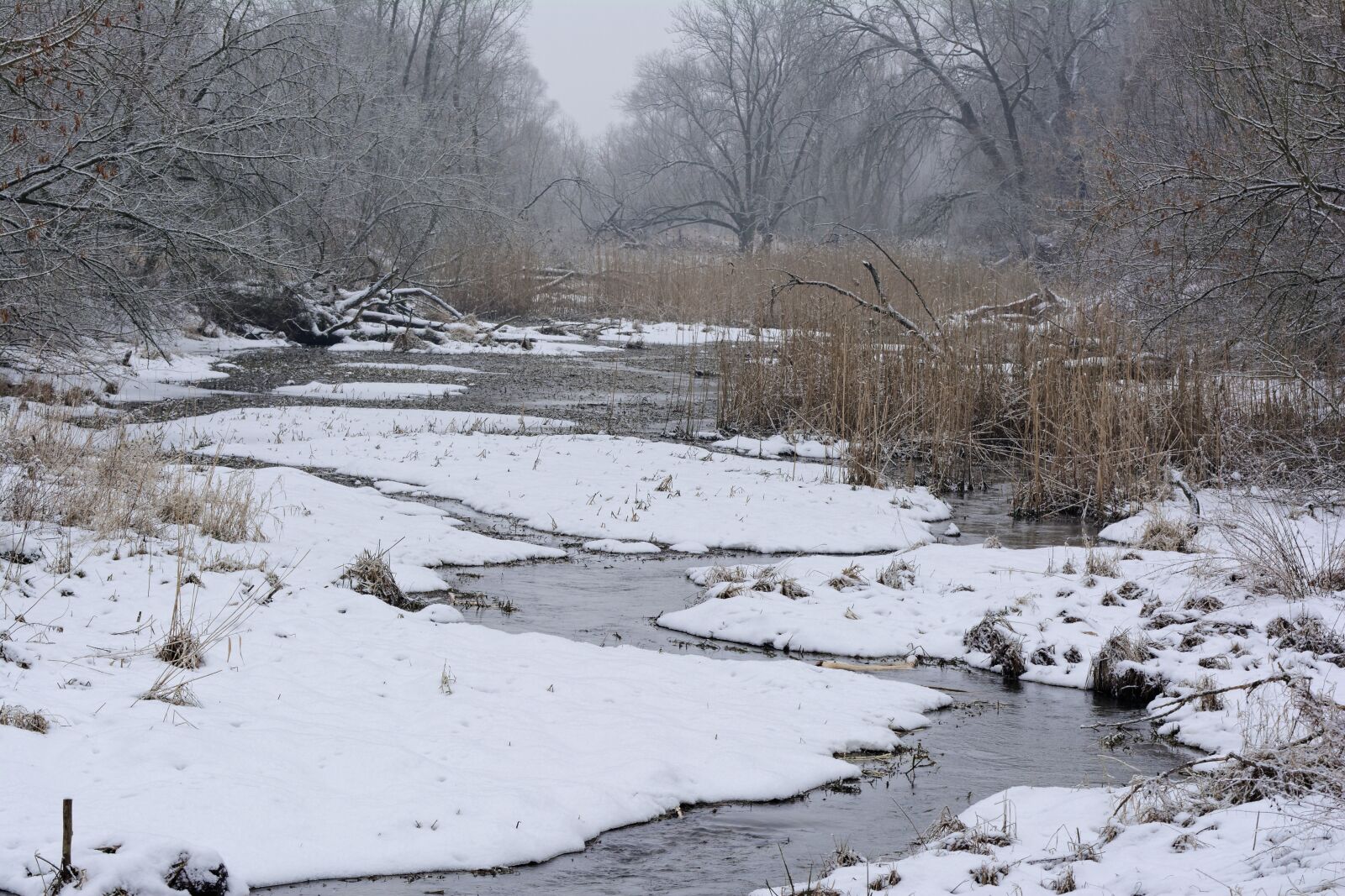 Nikon D5200 sample photo. Winter, snow, cold photography