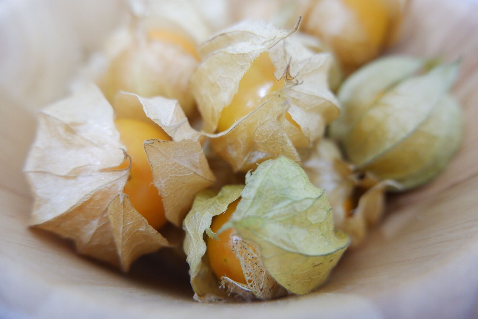 Fujifilm X-A5 sample photo. Cape goose berries, unsteadily photography