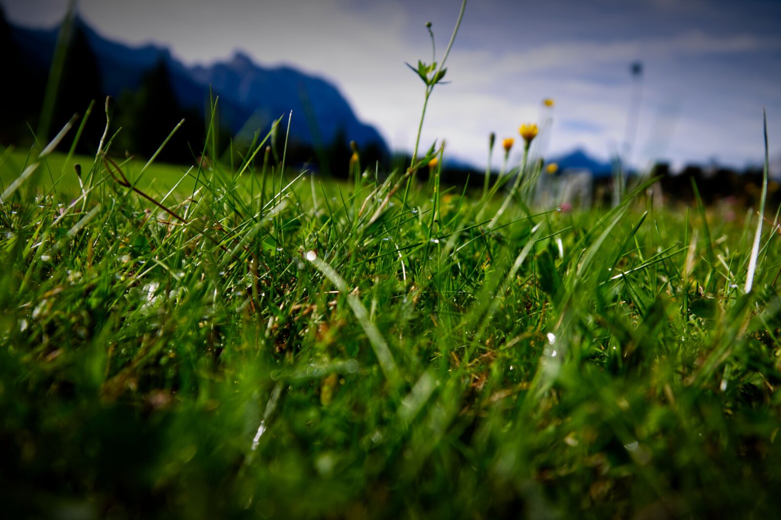 Canon EOS 1100D (EOS Rebel T3 / EOS Kiss X50) sample photo. Berg, mountain, grass photography