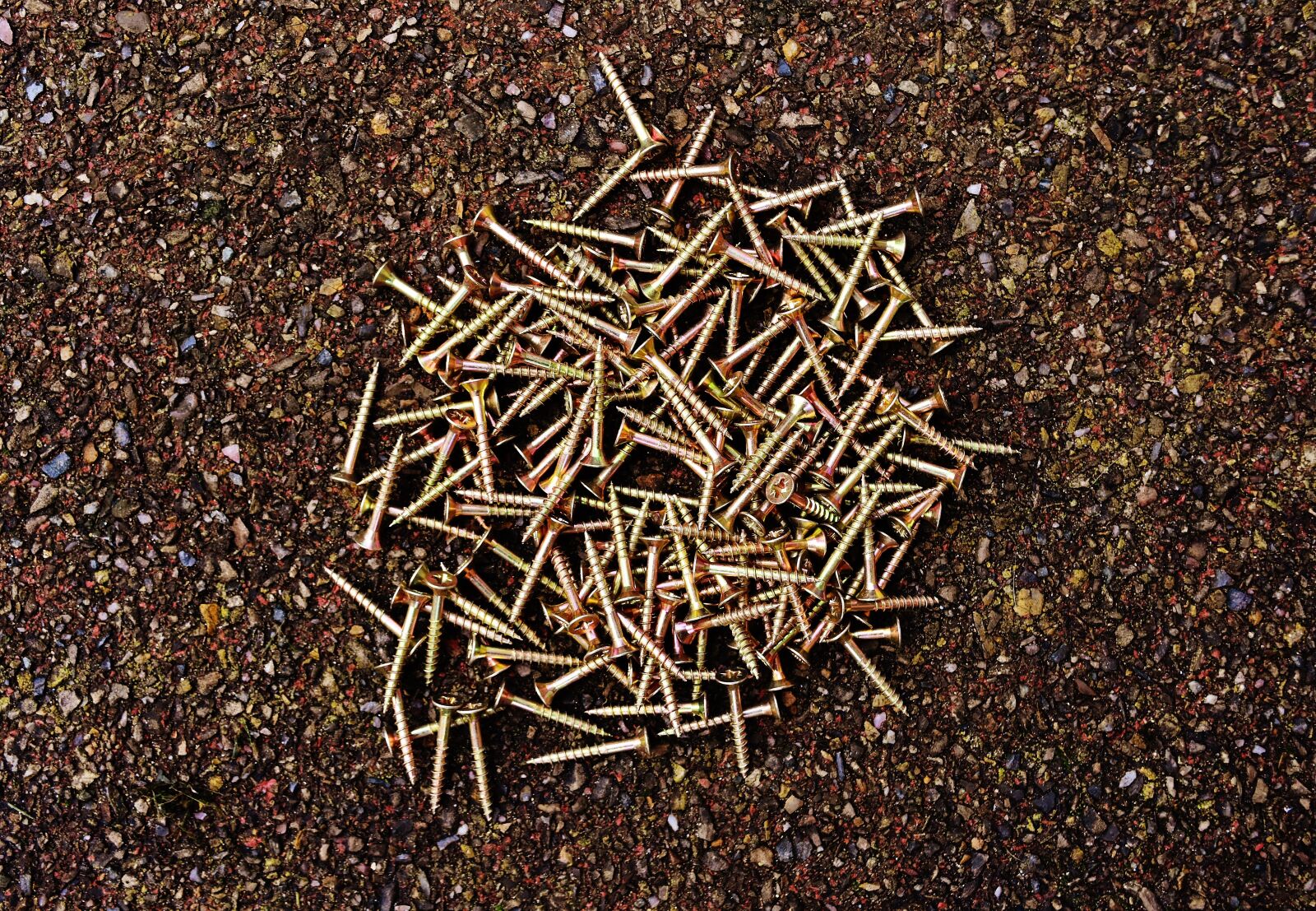 Nikon D7200 sample photo. Screw, wood screws, spax photography