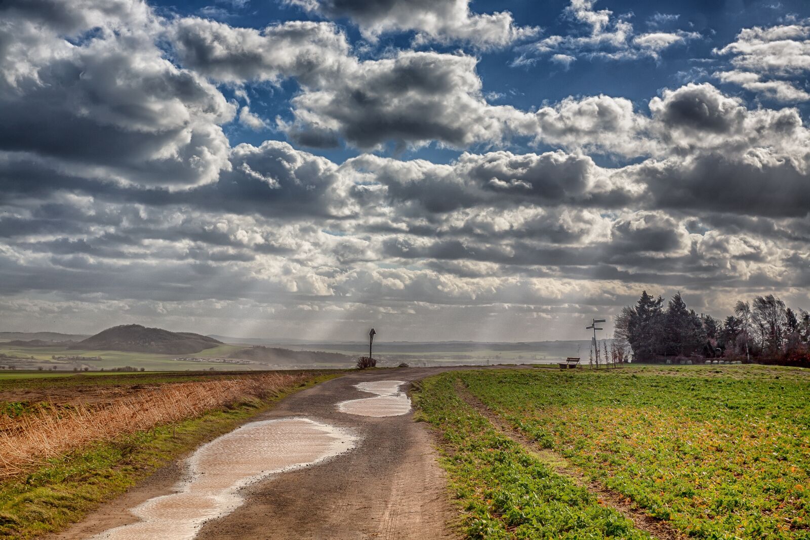 Canon EOS 5D sample photo. Forward, windy, clouds photography