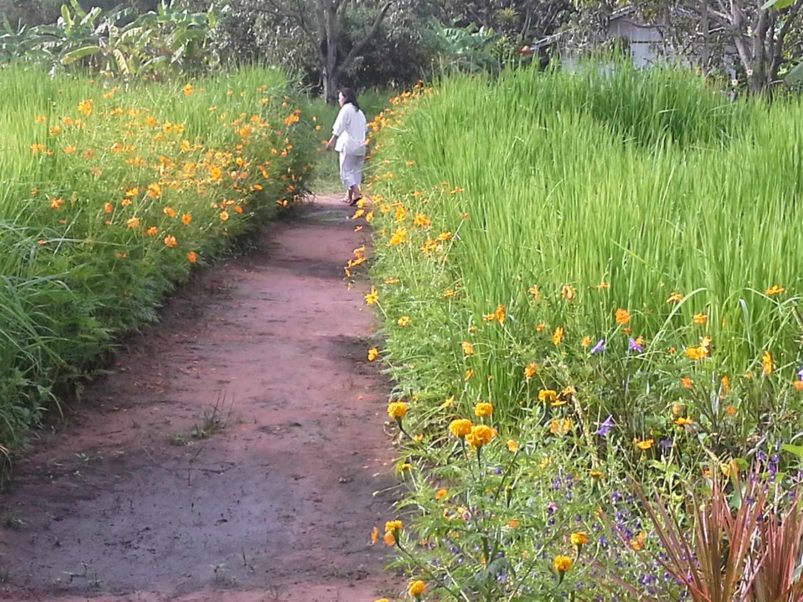 Samsung Galaxy Note 10.1 sample photo