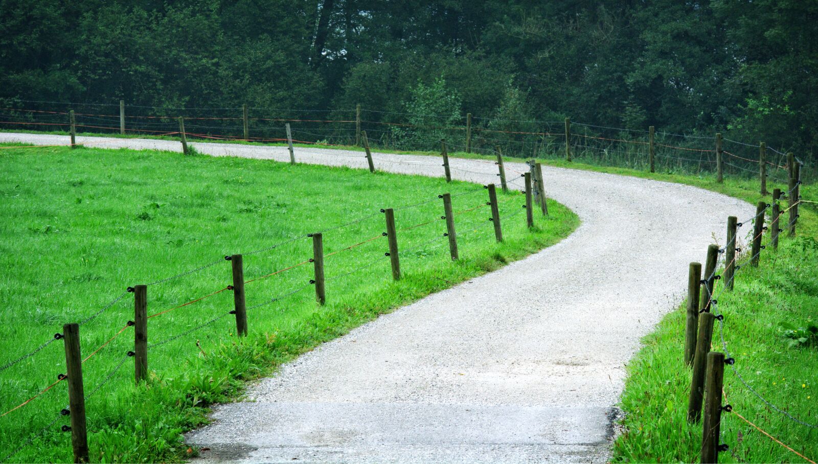 55.0-200.0mm f/4.0-f/5.6 sample photo. Pasture, wicker fence, pasture photography