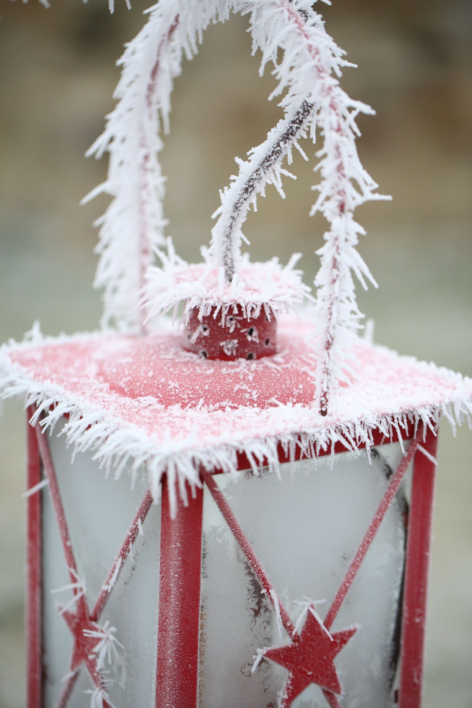 Canon EF 100mm F2.8L Macro IS USM sample photo. Frost, icy, lantern photography