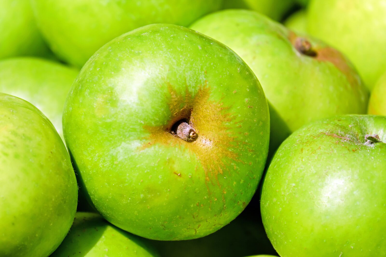 Fujifilm X-T10 + Fujifilm XC 50-230mm F4.5-6.7 OIS sample photo. Apple, fruit, fruits photography