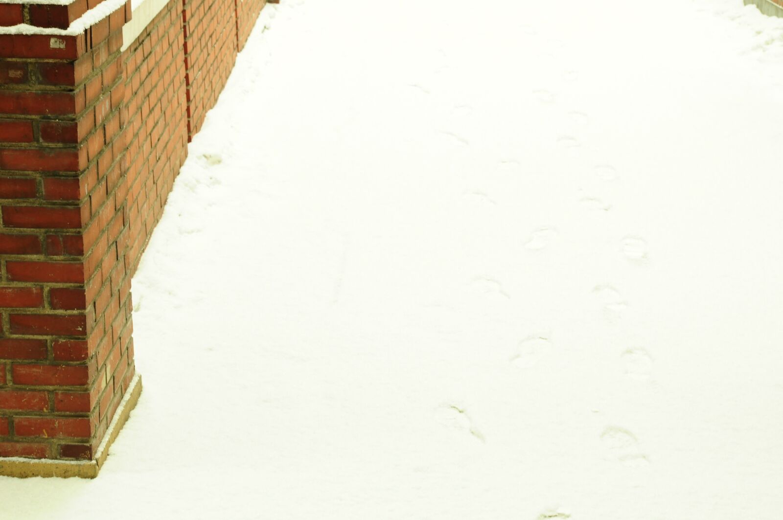 Nikon D90 sample photo. Snow, footprint, gil photography