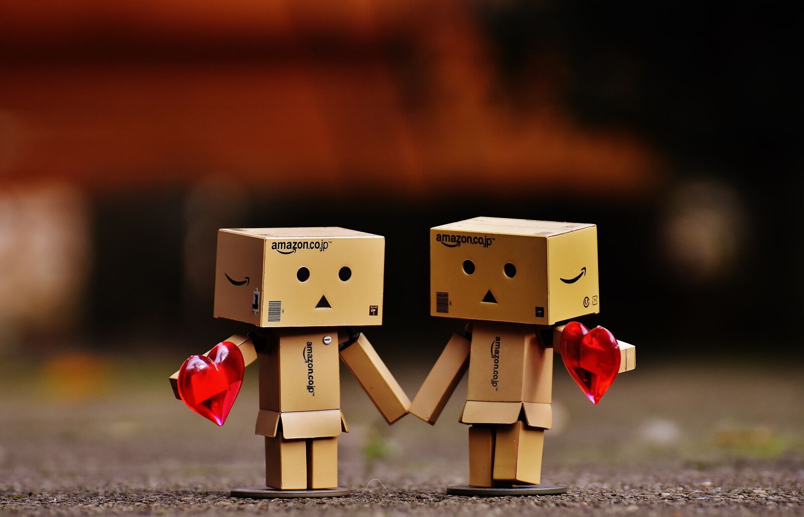 Nikon D7200 sample photo. Danbo, figure, together photography