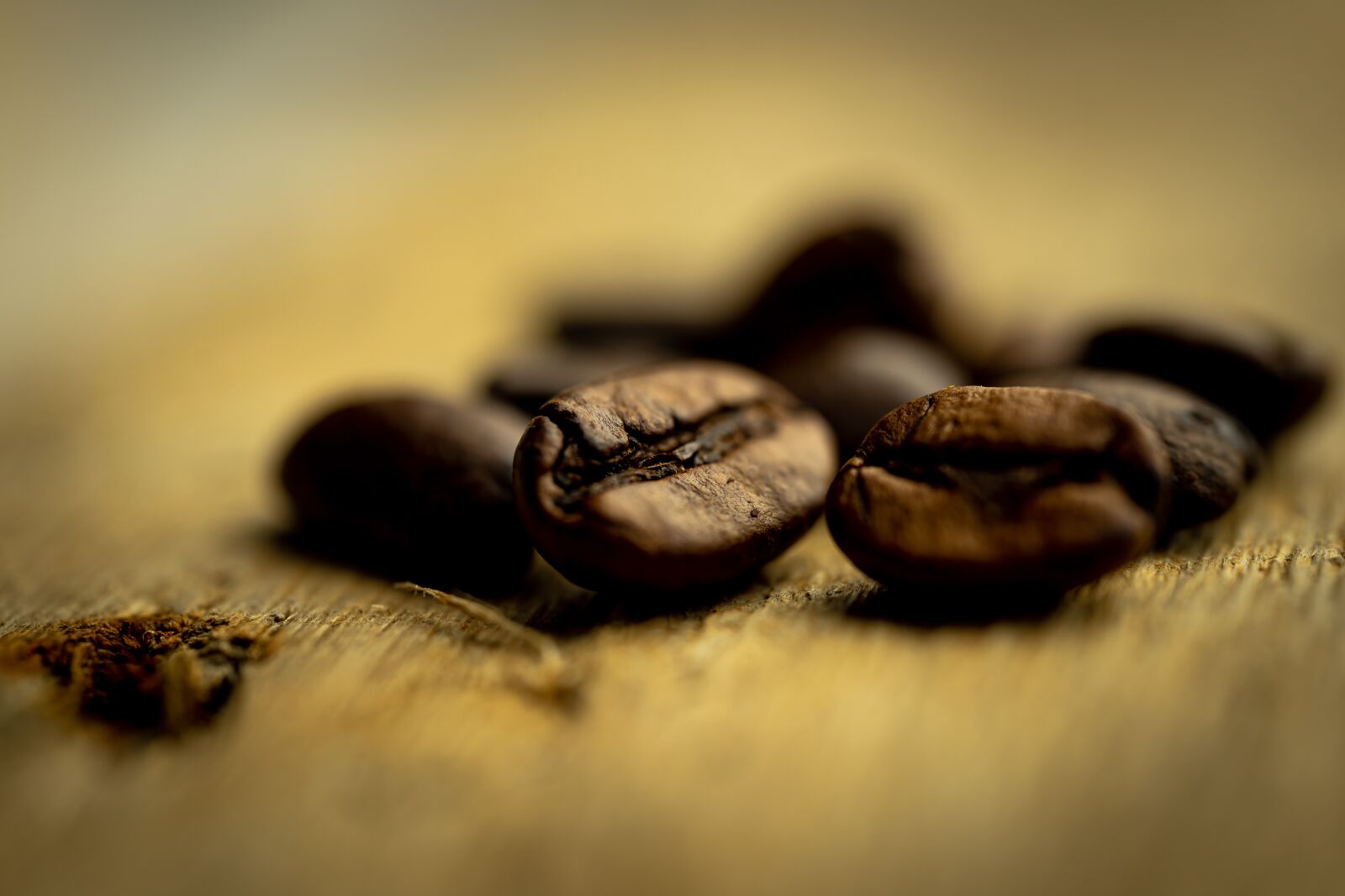 Sigma 70mm F2.8 DG Macro Art sample photo. Coffee, beans, coffee beans photography