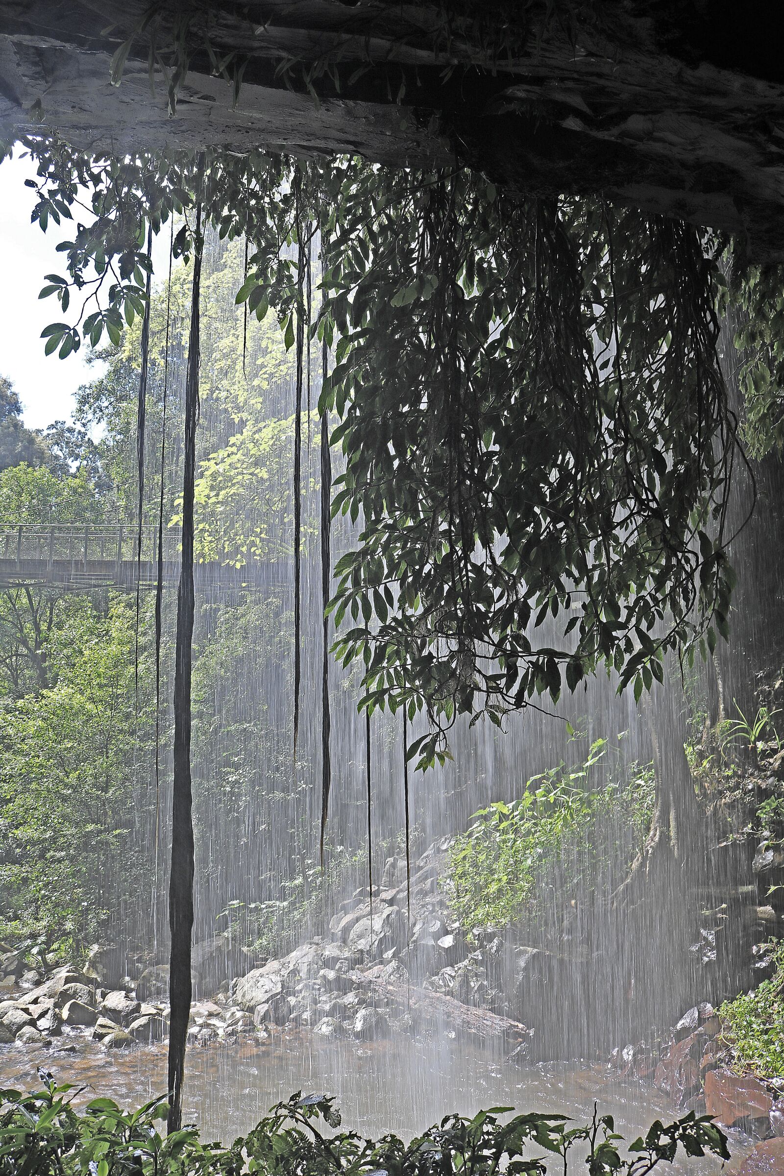 Canon EOS 750D (EOS Rebel T6i / EOS Kiss X8i) sample photo. Waterfall, trees, scenic photography