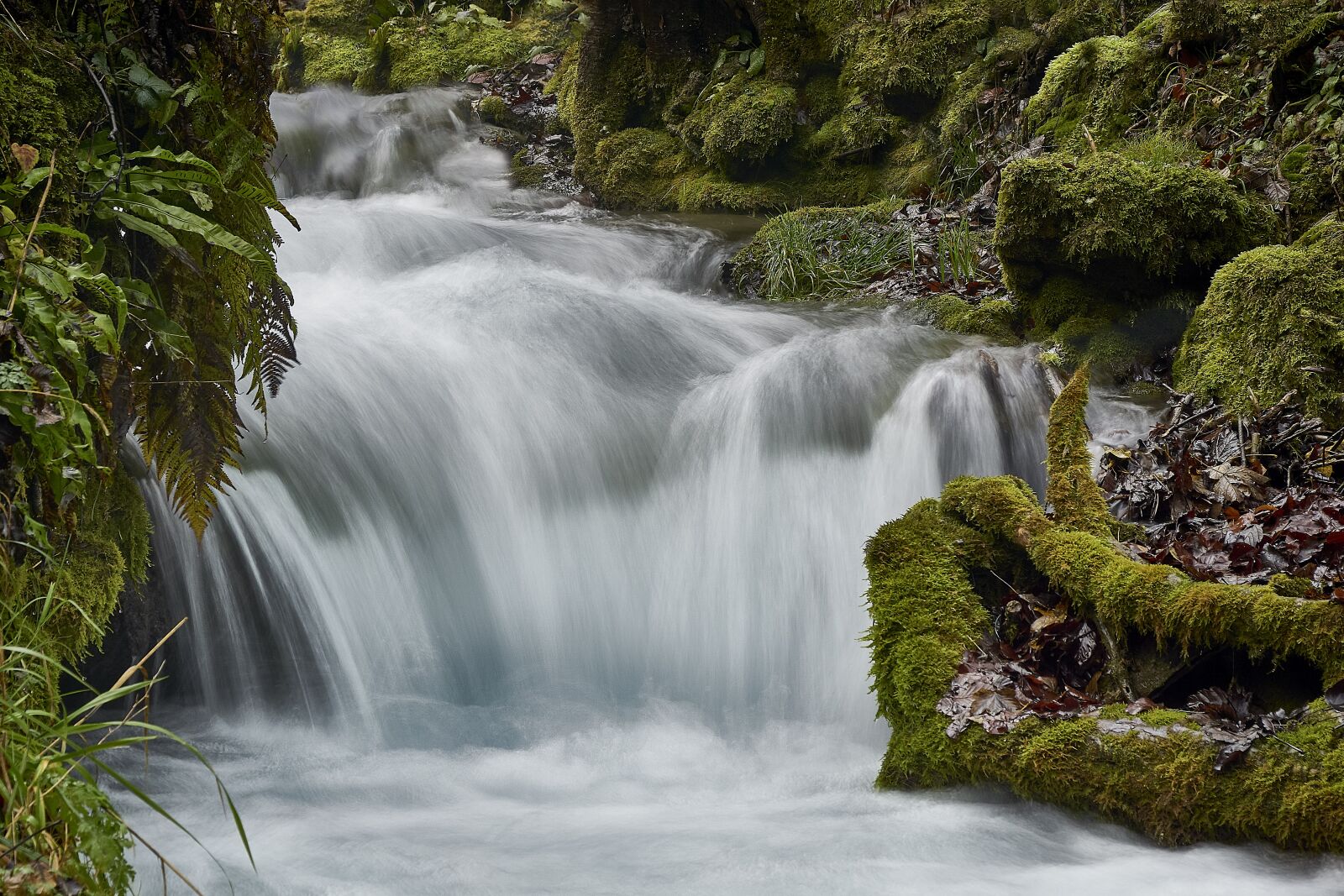 Sony ILCA-77M2 sample photo. Water, waterfall, nature photography