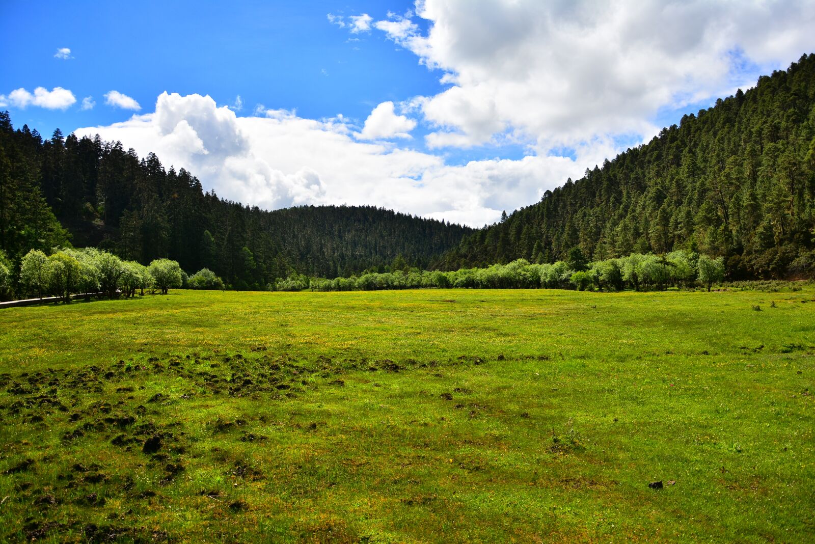 Nikon D7100 sample photo. The scenery, shangri-la's, pudacuo photography