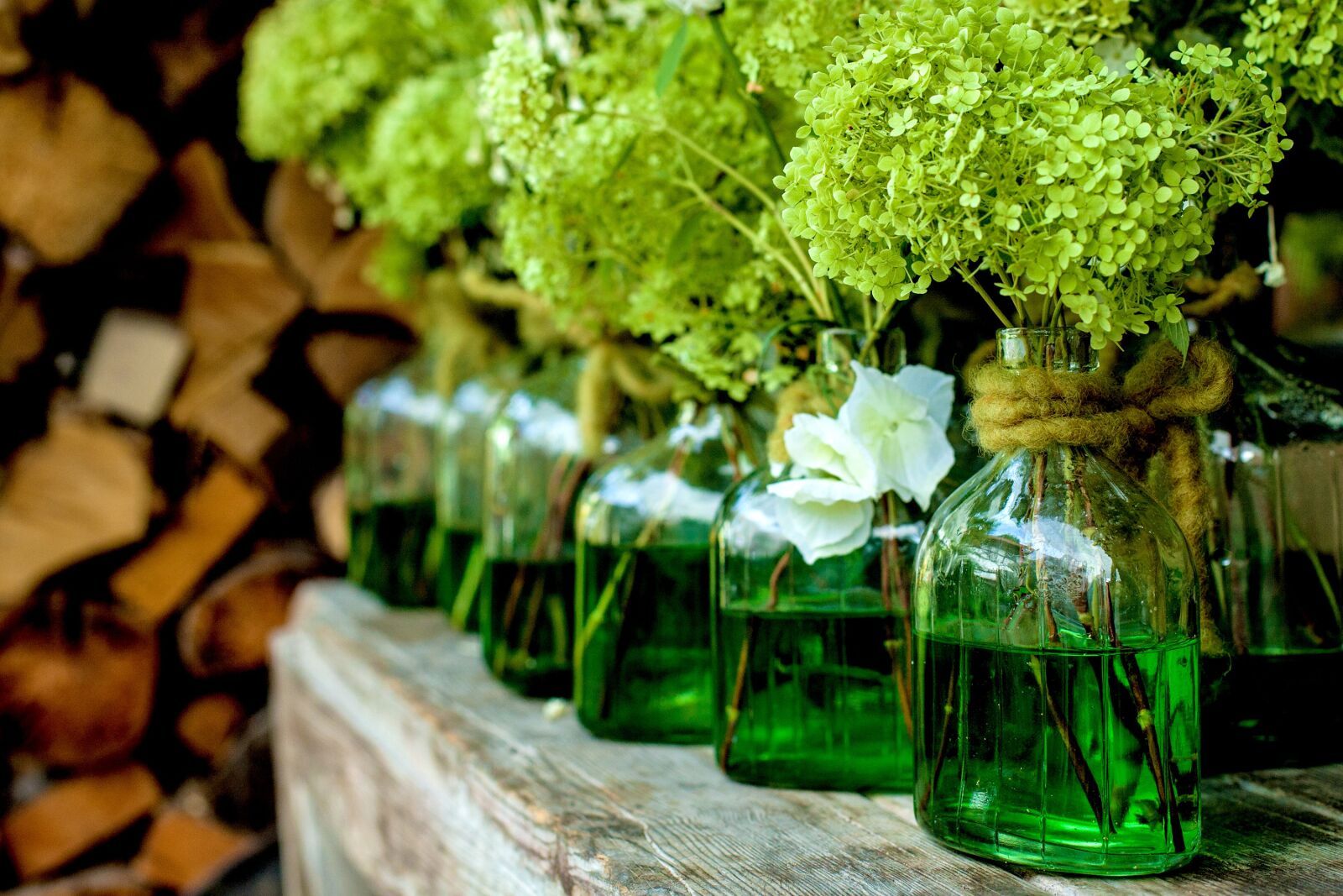 Canon EOS 5D Mark II sample photo. Vases, decoration, plant photography
