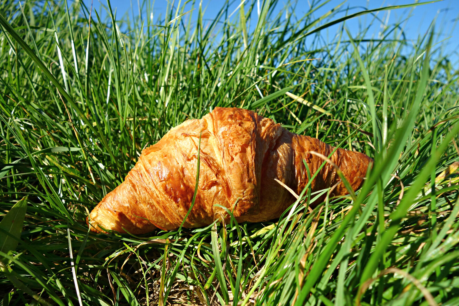 Sony Cyber-shot DSC-RX100 sample photo. Bread, breakfast, brown, croissant photography