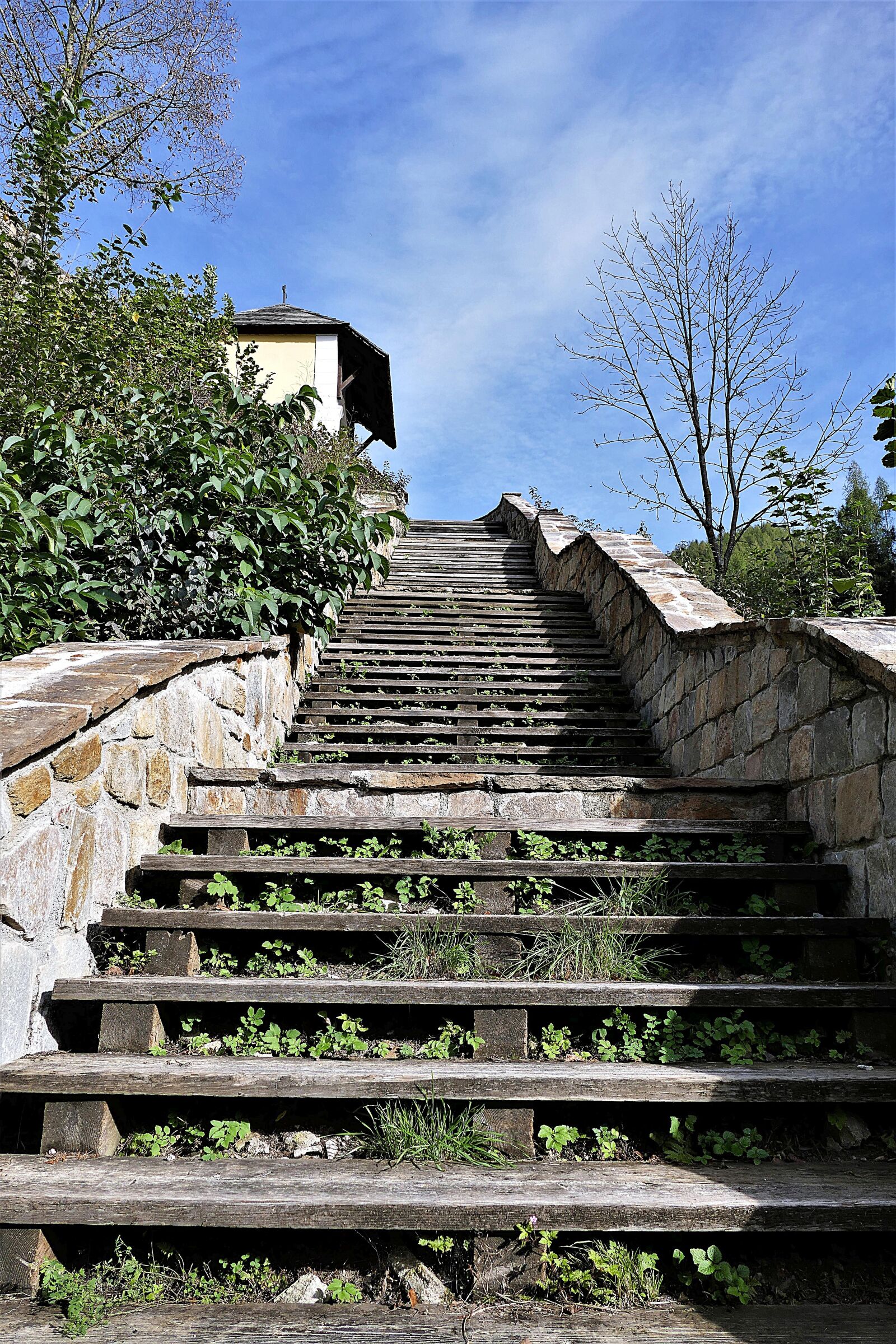 Panasonic Lumix DMC-FZ1000 sample photo. Staircase, emergence, wooden ladders photography