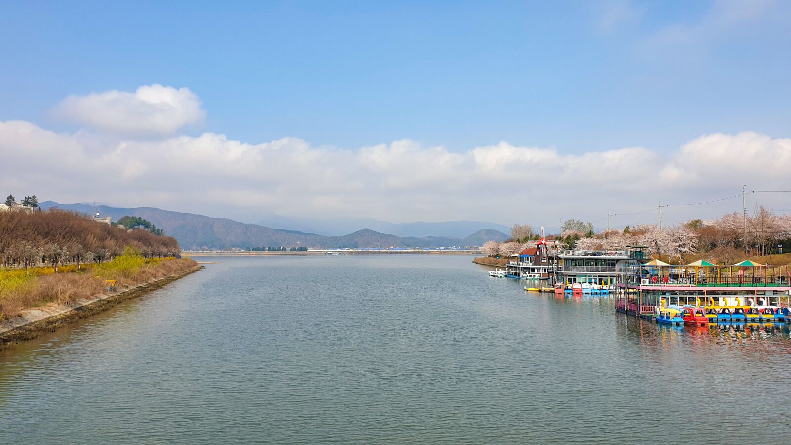 Samsung Galaxy Note9 sample photo. Chuncheon, spring, cherry blossom photography