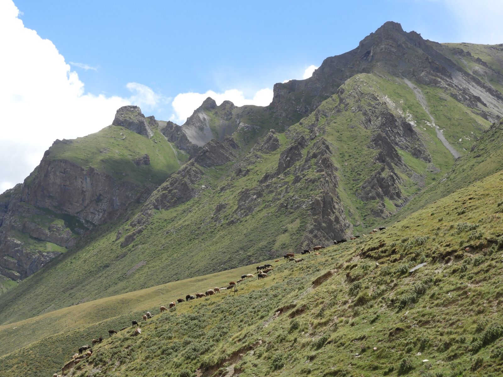 Nikon Coolpix B700 sample photo. Mountains, alpine meadow, pasture photography