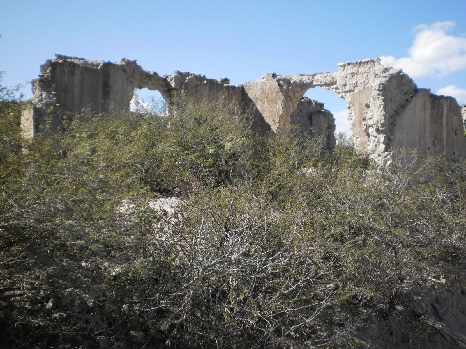 Olympus T105,T100,X36 sample photo. House abandoned, ranch, old photography