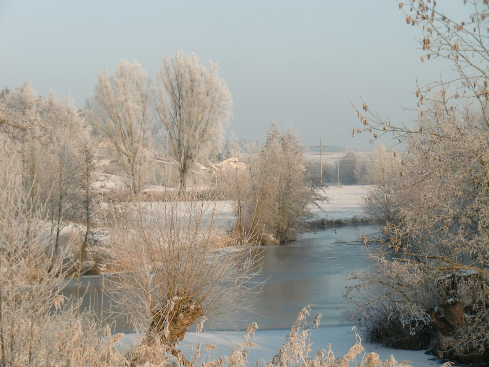 CASIO EX-H10 sample photo. Winter, nature, landscape photography