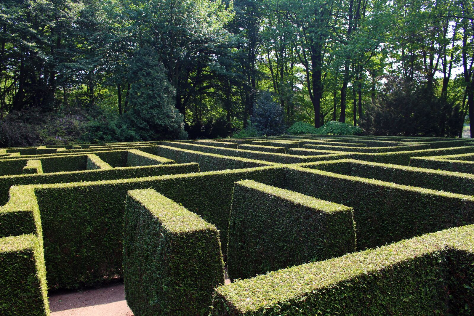 Canon EOS 700D (EOS Rebel T5i / EOS Kiss X7i) sample photo. Labyrinth, maze, garden photography