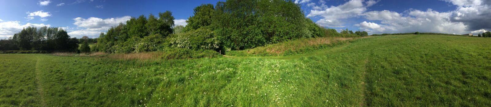 iPhone 6 back camera 4.15mm f/2.2 sample photo. Grasslands, stoke-on-trent, fields photography