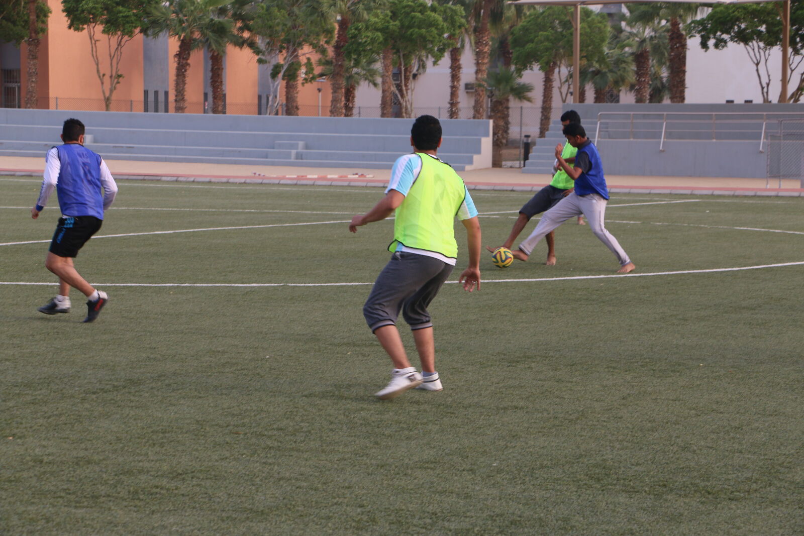 Canon EOS 70D sample photo