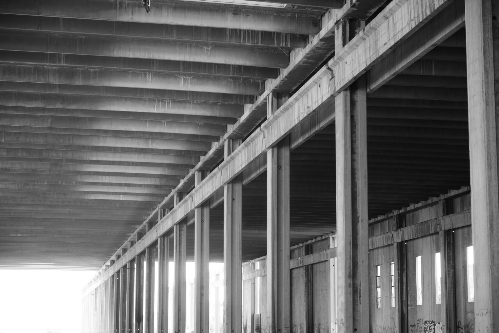 Nikon D750 sample photo. Perspective, column, concrete photography