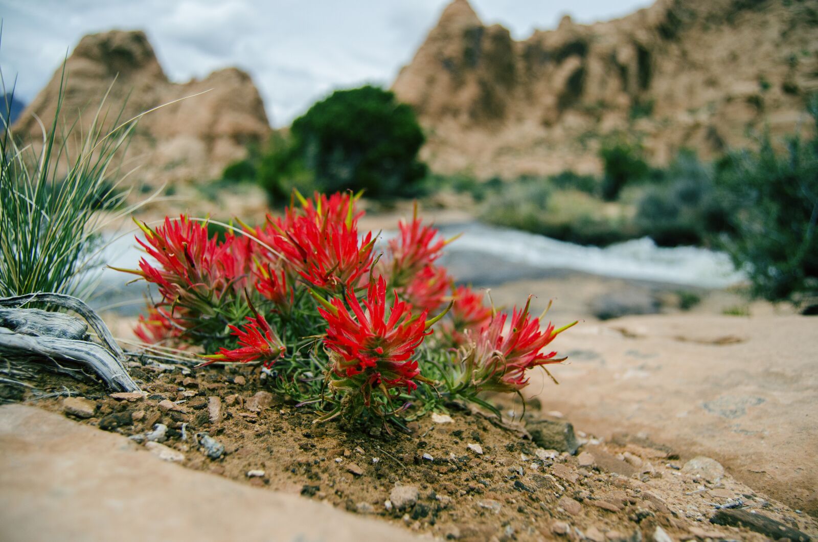 Nikon D7000 sample photo. Utah, southwest, desert photography