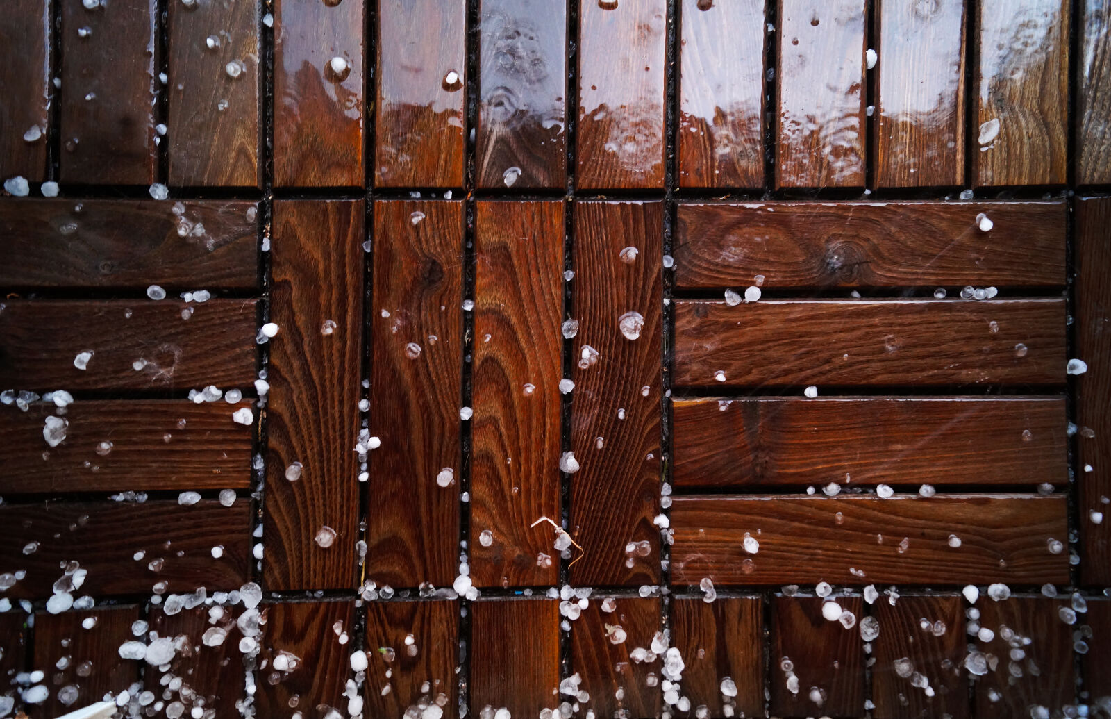 Sony DT 18-55mm F3.5-5.6 SAM II sample photo. Wood, texture, rain, wet photography