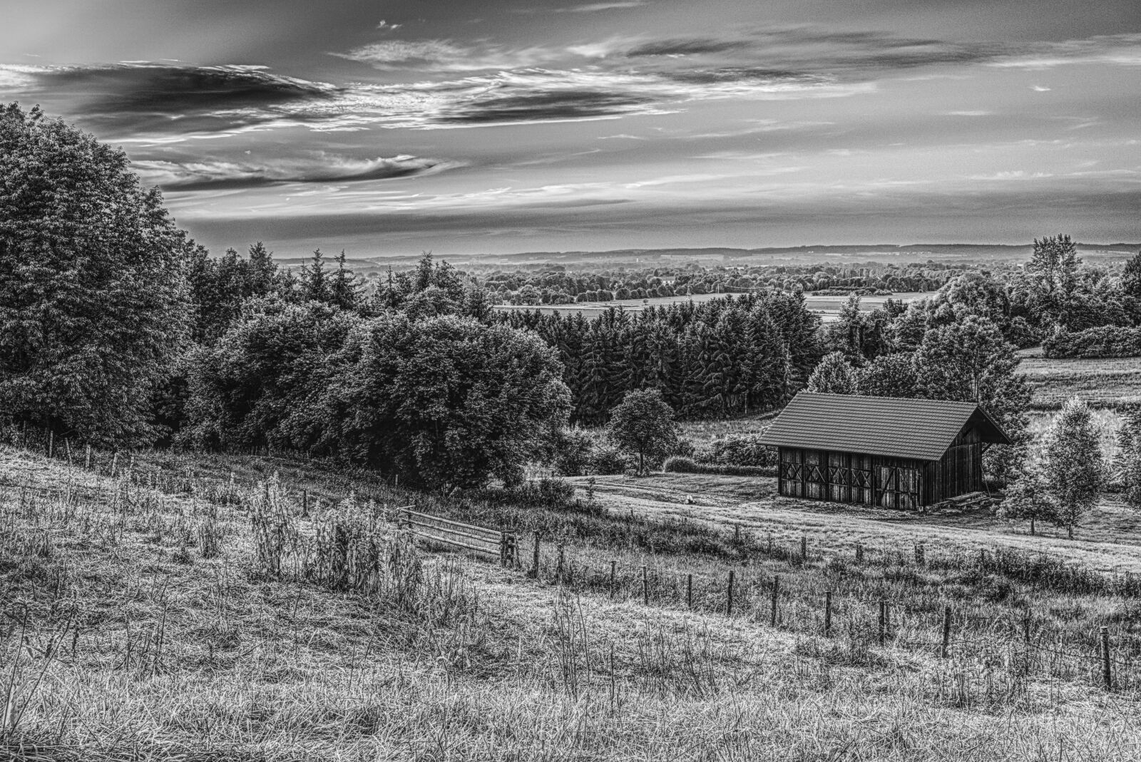 Sony a6300 + Sigma 30mm F2.8 EX DN sample photo. Black and white, rural photography