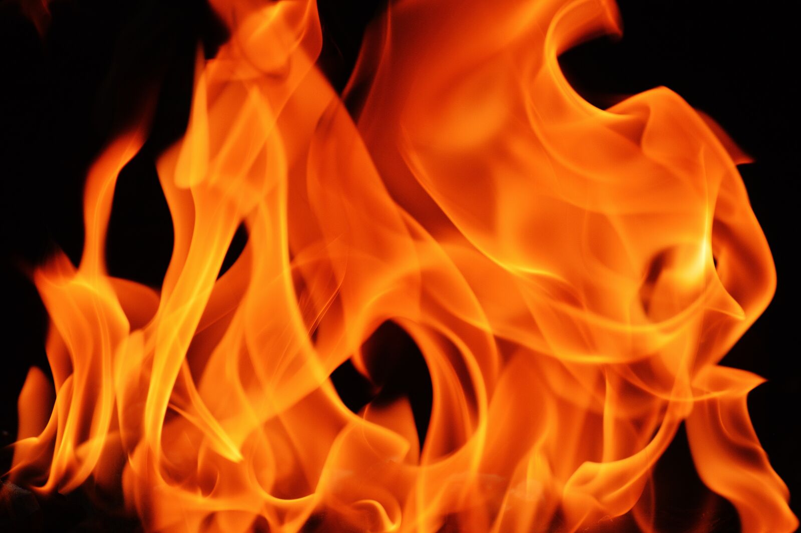 Nikon D3200 sample photo. Flame, embers, fire photography