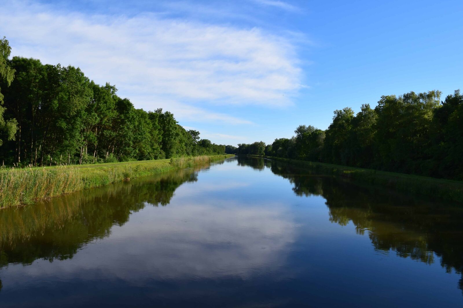 Nikon D3300 sample photo. Landscape, river, water, tree photography