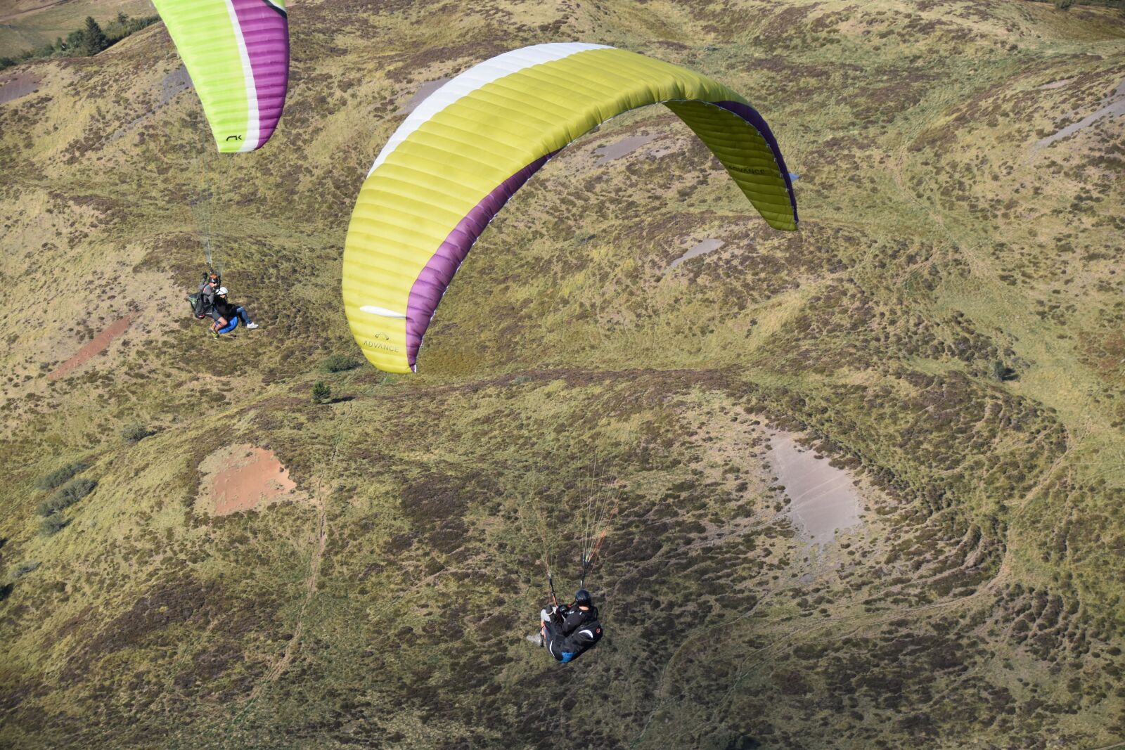 Nikon D5600 sample photo. Paragliding, paraglider wing, paraglider photography