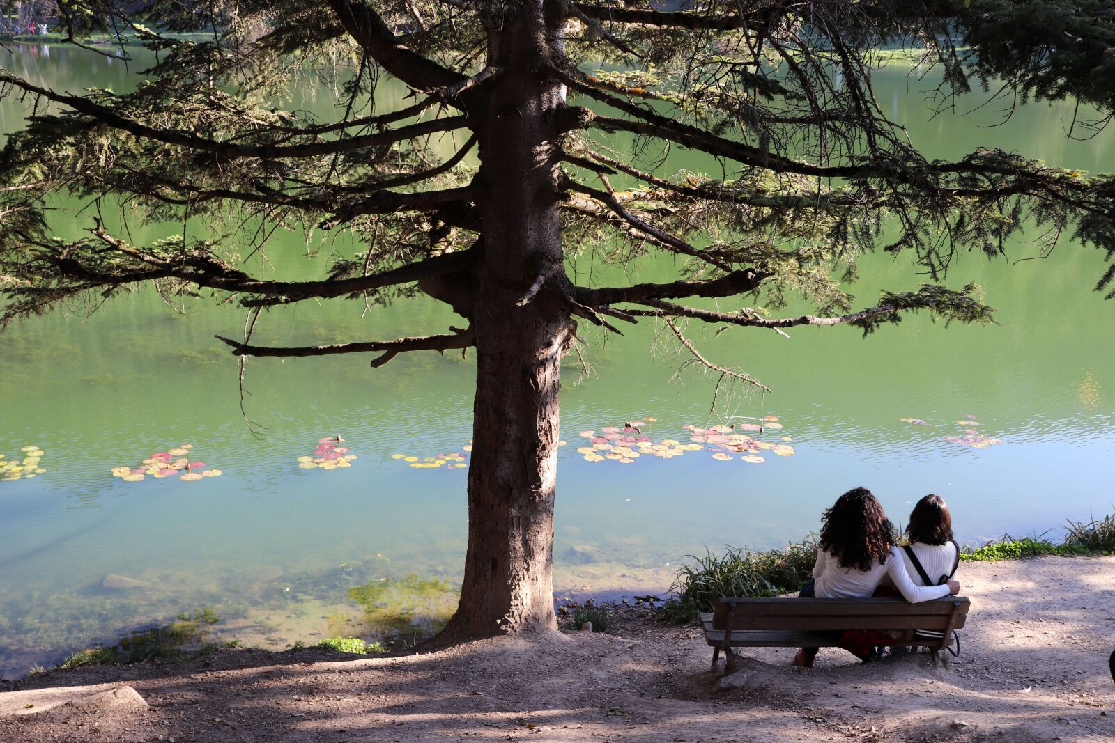 Canon EOS 77D (EOS 9000D / EOS 770D) sample photo. Nature, lake, friendship photography