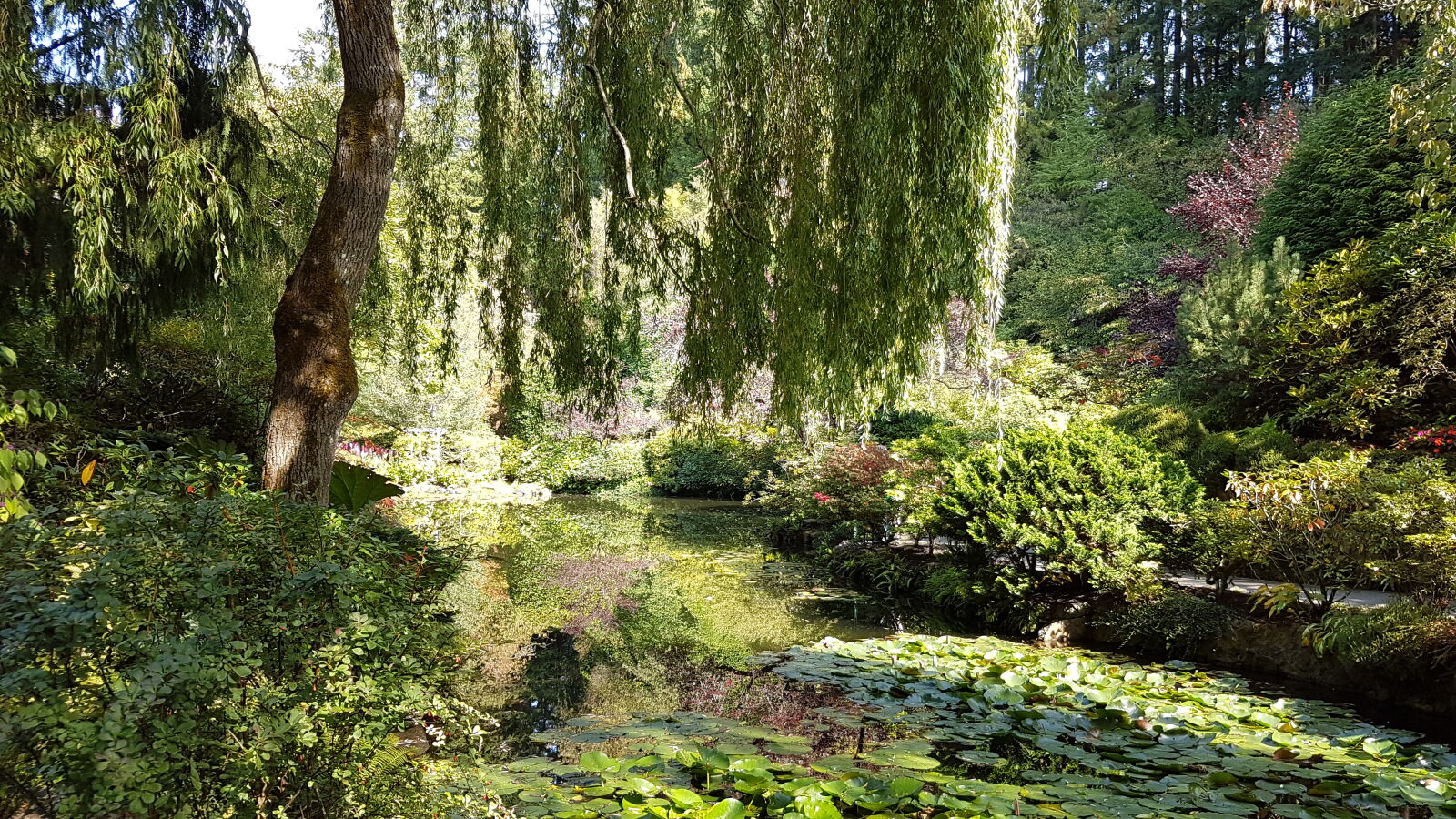 Samsung Galaxy S7 Edge sample photo