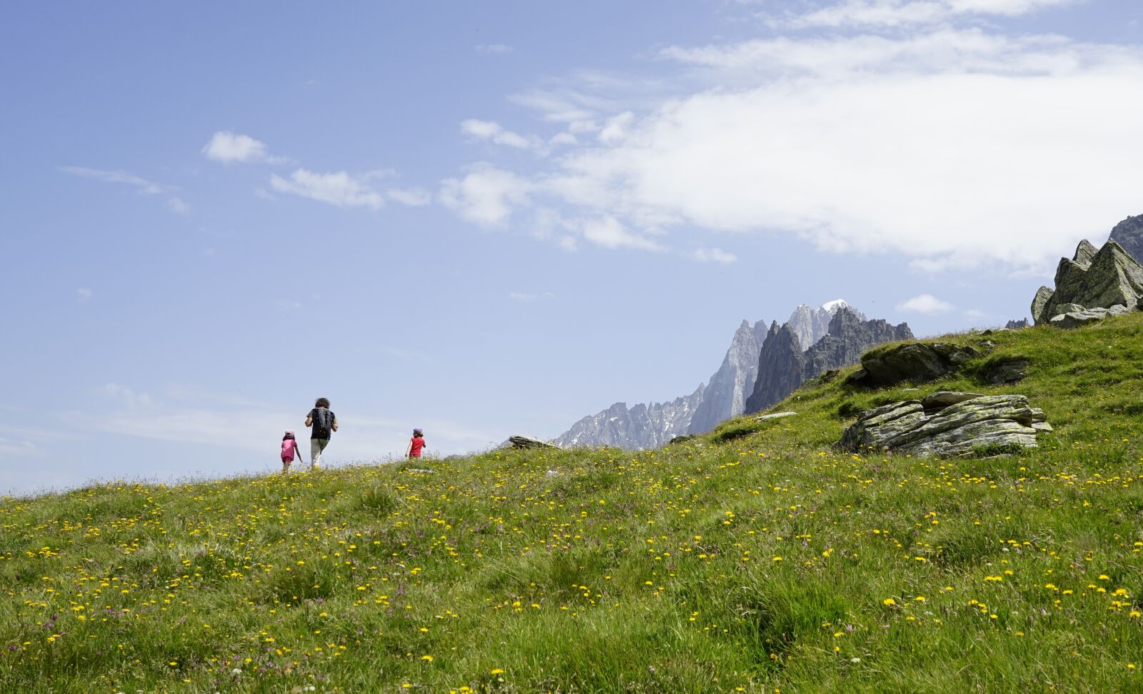 Sony a7R + FE 35mm F0 ZA sample photo. Europe, alps, montblanc photography