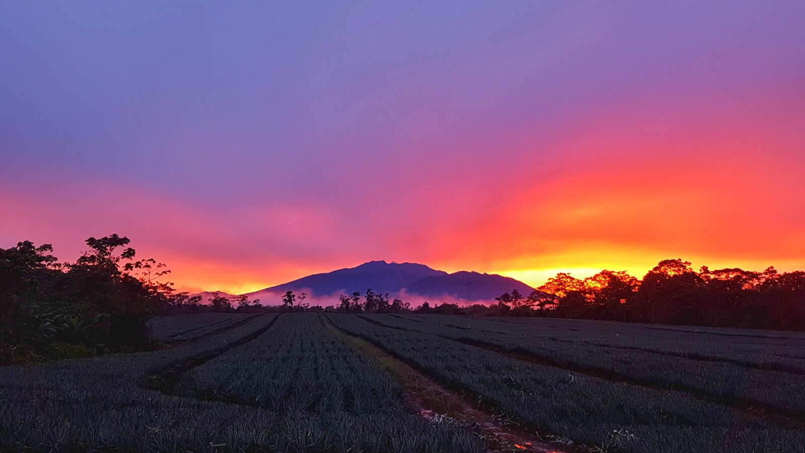 Samsung Galaxy S7 Edge sample photo. Volcano, turrialba, sunset photography