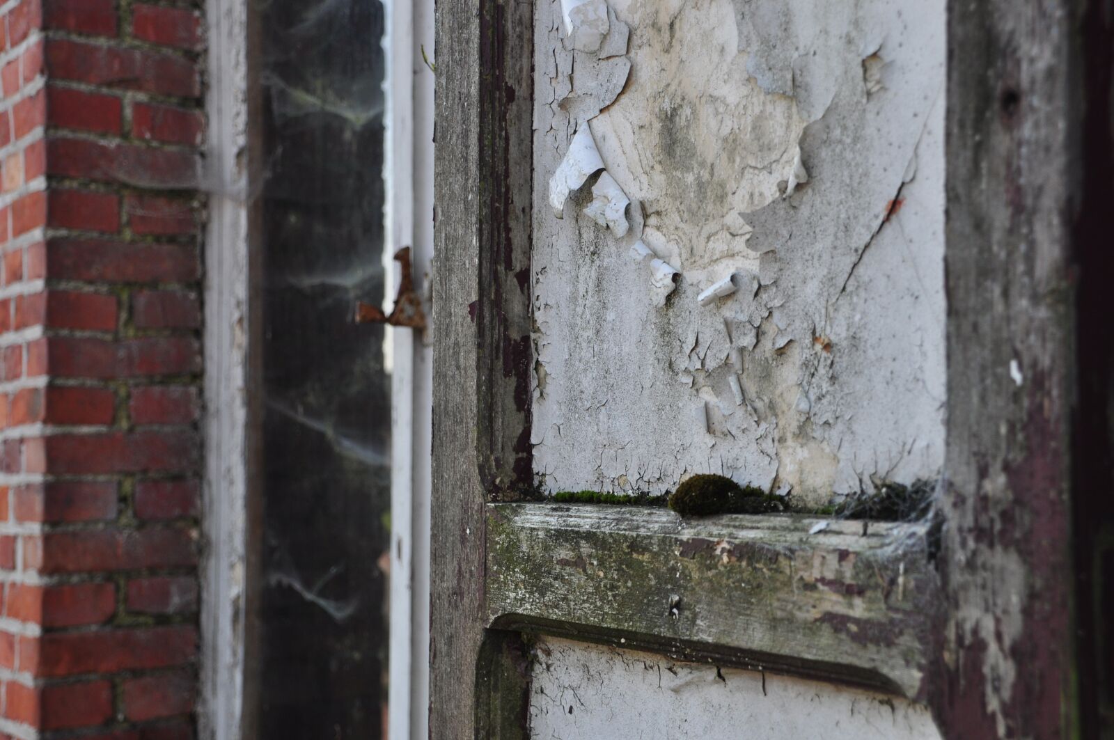 Nikon D90 sample photo. Old, house, facade photography