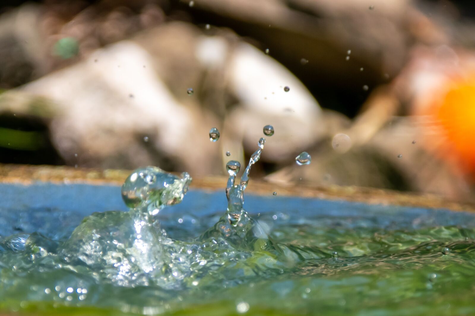 Nikon D3400 sample photo. Water, splash, drop of photography
