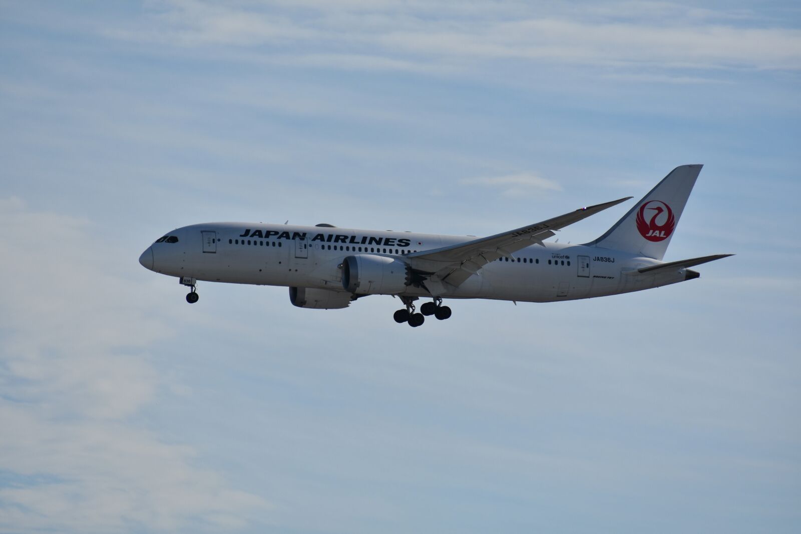 Nikon D7200 sample photo. Travel, airliner, aircraft photography