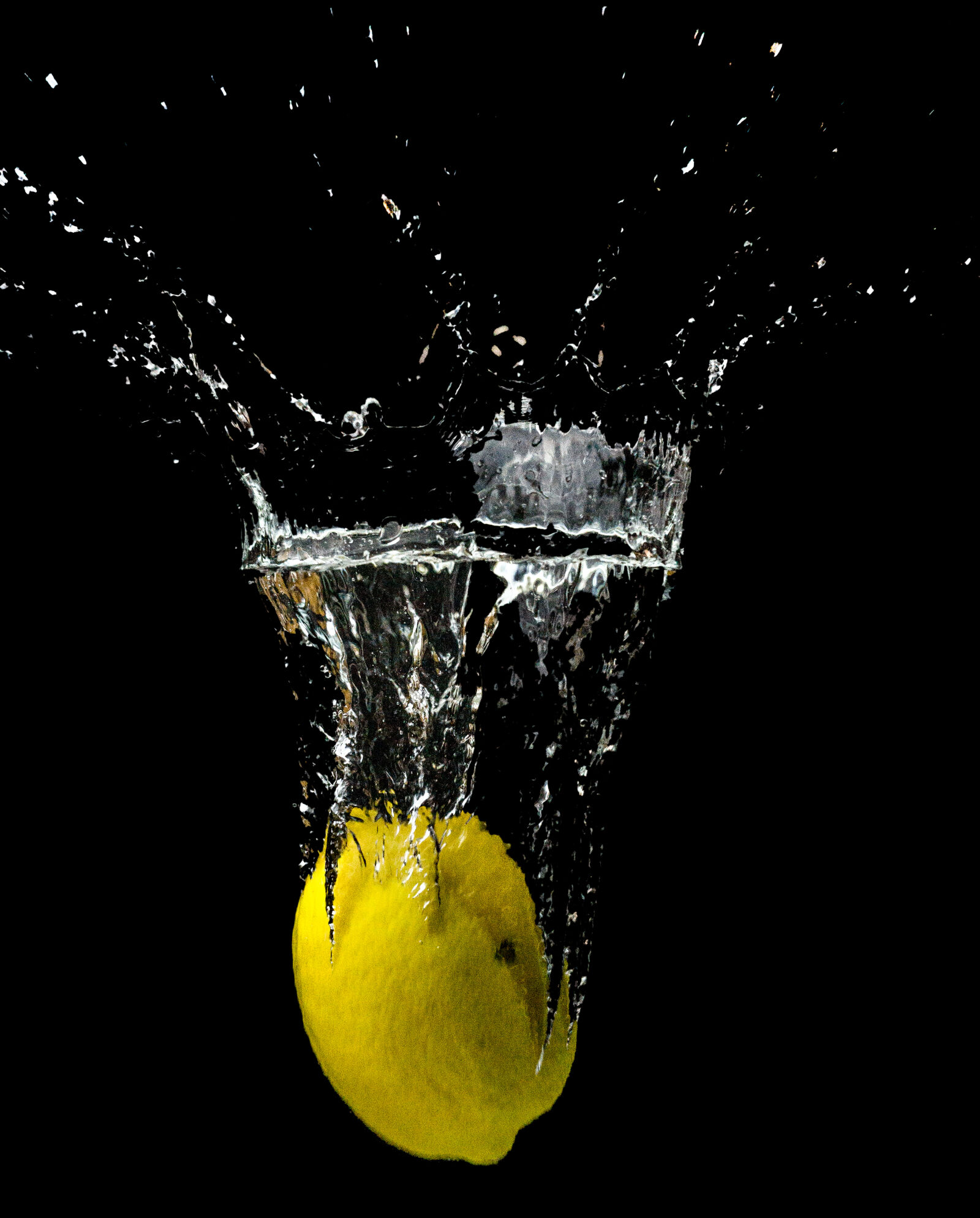 Sony a6000 + Sigma 30mm F2.8 EX DN sample photo. Yellow, lemon, submerged, in photography