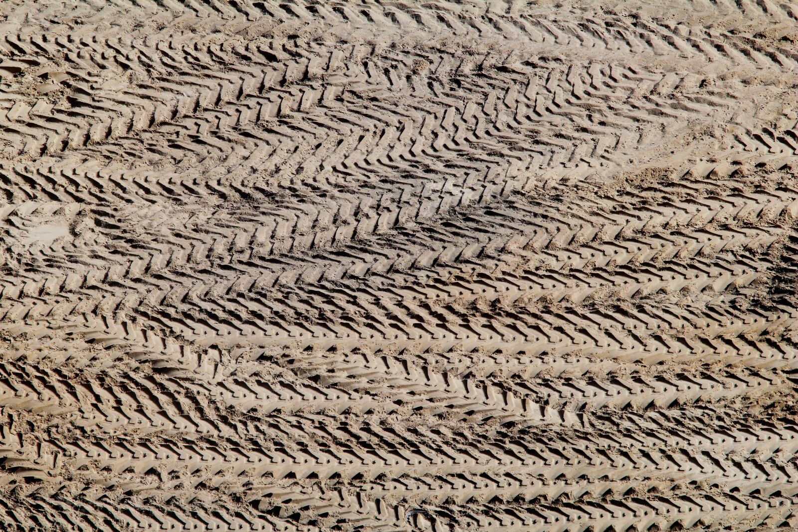 Canon EOS 1200D (EOS Rebel T5 / EOS Kiss X70 / EOS Hi) sample photo. Traces, track, area photography
